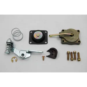 AED Complete 50cc Accelerator Pump Kit For Holley Carb