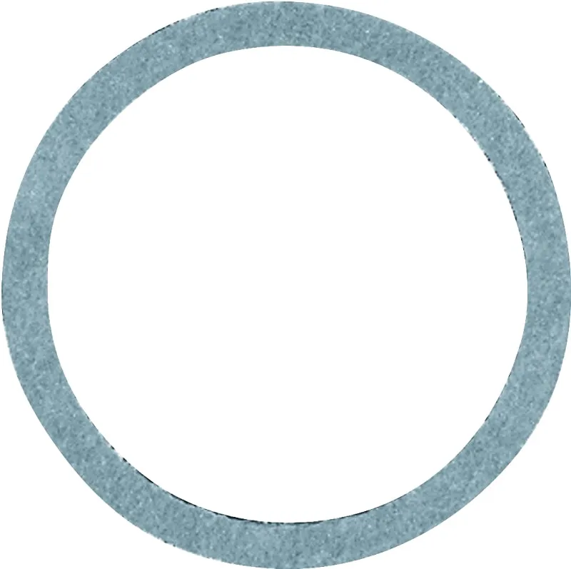 Danco 35580B Cap Thread Gasket, #45, 7/8 in ID x 1-1/16 in OD Dia, 1/16 in Thick, Nylon :BAG 1: QUANTITY: 5