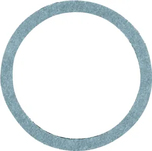 Danco 35580B Cap Thread Gasket, #45, 7/8 in ID x 1-1/16 in OD Dia, 1/16 in Thick, Nylon :BAG 1: QUANTITY: 5