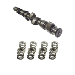 For VW 8V 266 NA or turbocharged engines Hydraulic tappets performance camshaft   HD DUAL SPRING SET