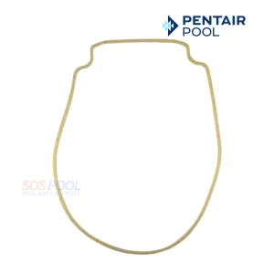 Pentair Seal Plate Gasket For Whisperflo And Intelliflo Pump | Almond | 357102
