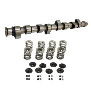 VW 8V 288 N/A application hydraulic tappets performance camshaft   DUAL SPRING SET