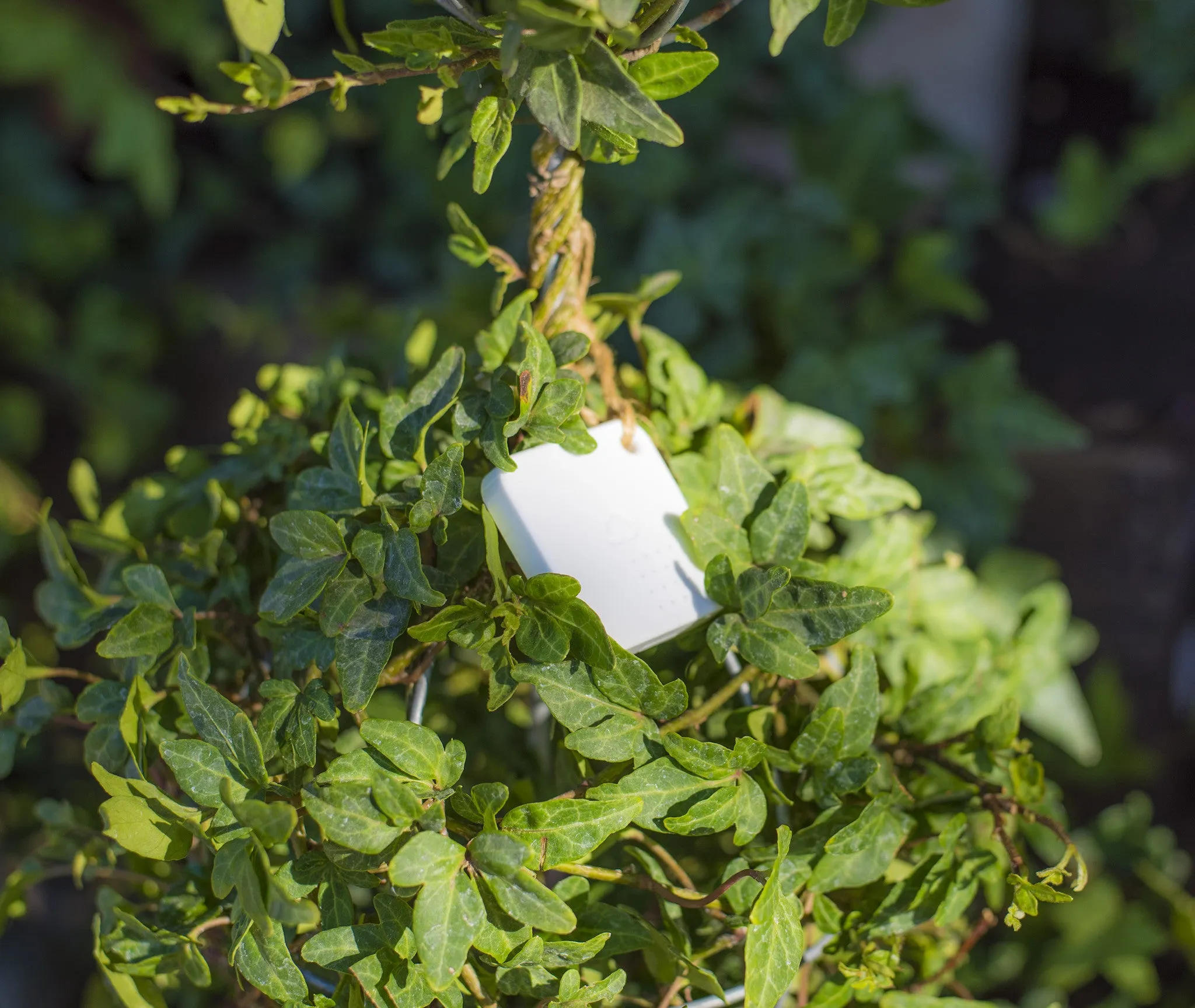 Wireless Sensor Tag Pro ALS